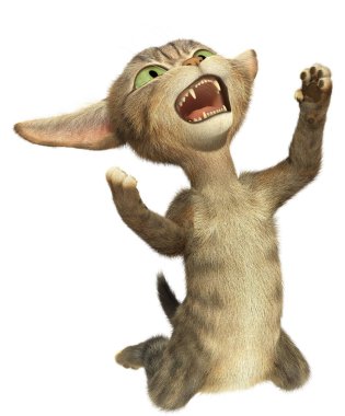 Kedi diz şarkı söylüyor.