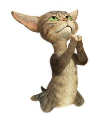 Dizlerinin üstünde dua kedi