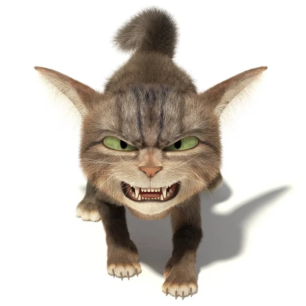 Angry aggressive cat — Stock Photo, Image