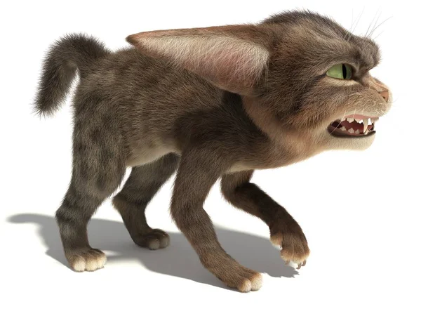 Kızgın agresif kedi  