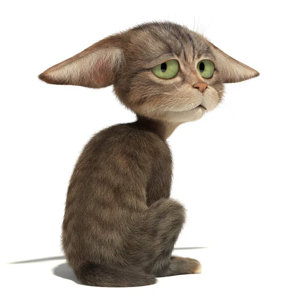 Kedi oturma ve seyir 