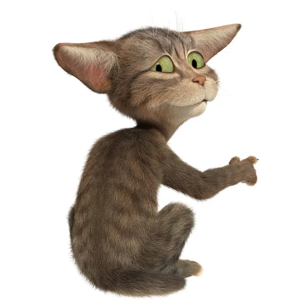 Gatito esponjoso mostrando con pata —  Fotos de Stock