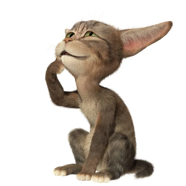 Tüylü yavru kedi arıyorum