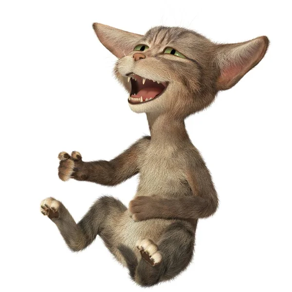 Yavru kedi holding göbek