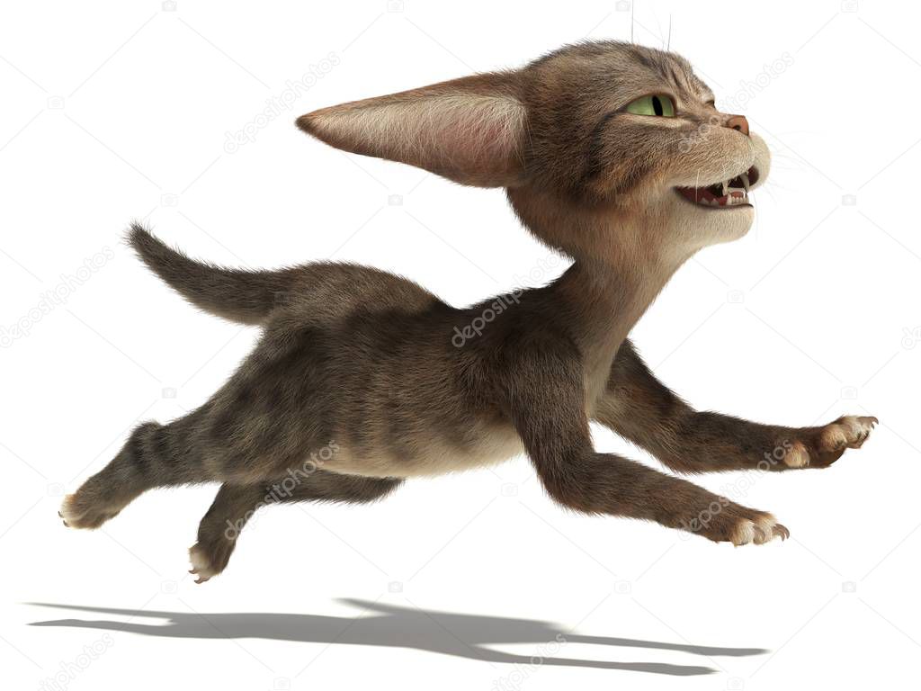Kitten running quickly  