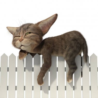 Kedi çitte uyuyor.