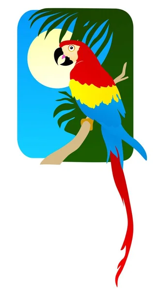 Macaw in a palm tree — Stock Vector