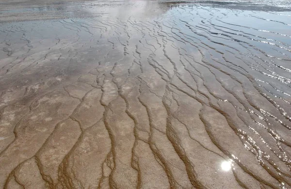 Piscina poco profunda de una fuente termal en Yellowstone — Foto de Stock