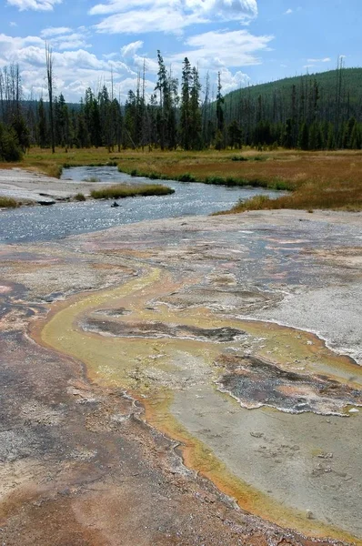 Kaplıcalar Firehole nehre boşaltma