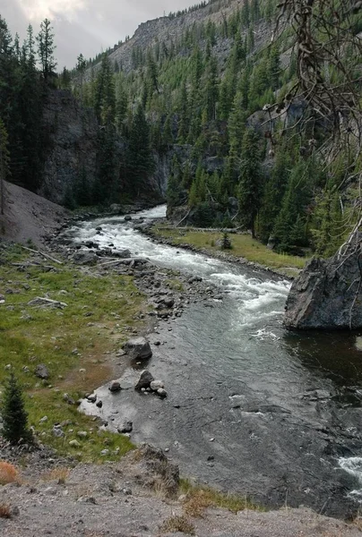 Våta landskap på Yellowstone National Park — Stockfoto