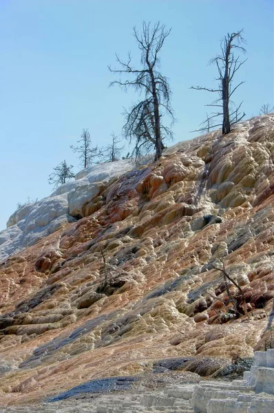 Mammoth Hot Springs detail — Stock Photo, Image