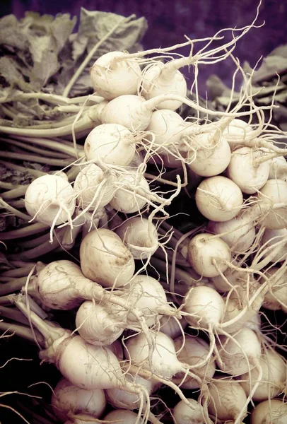 Retro look turnips — Stock Photo, Image