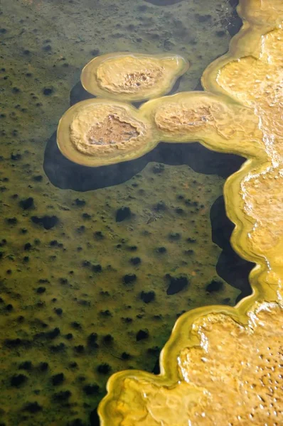 Bacterias en aguas termales — Foto de Stock