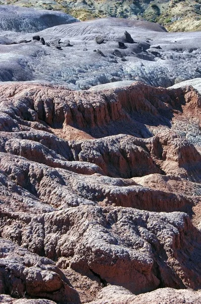 Deserto pintado Vista, Arizona — Fotografia de Stock