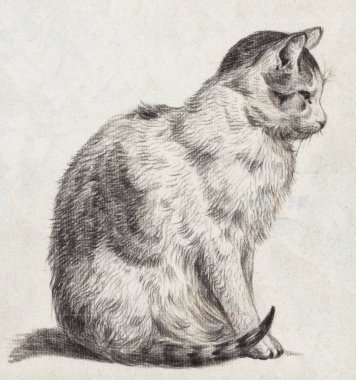Jean Barnard 'ın 1819' da kedisine yazdığı kalem çalışması.