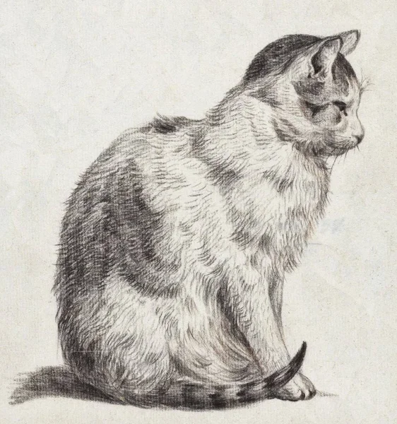 Potloodstudie Van Zijn Kat Door Jean Barnard 1819 — Stockfoto