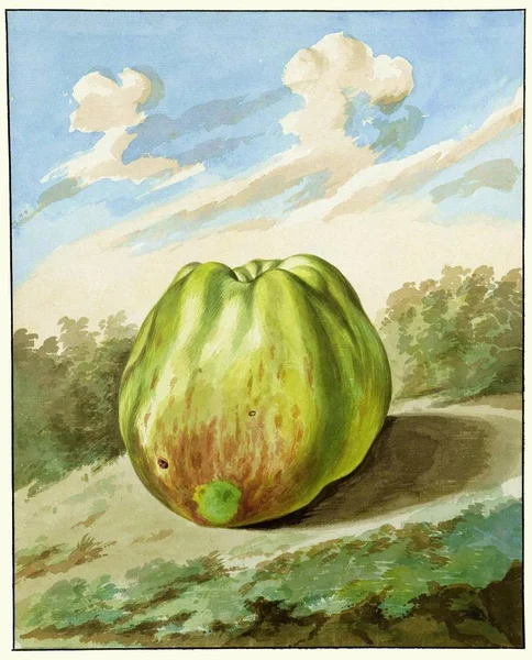 Apple Landscape Watercolor Pieter Gevers 1700 1800 Bit Whimsy Predates — Stock Photo, Image