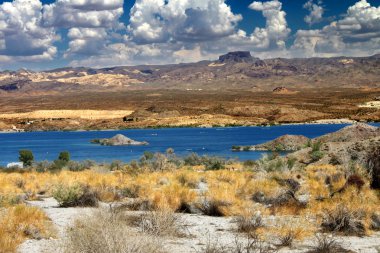 Göl Mohave Nevada manzara