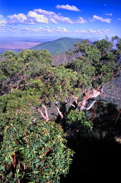 Nationaal Park Mount Archer Australië Stockfoto