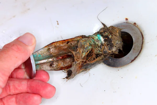 Clogged Sink Drain Stopper