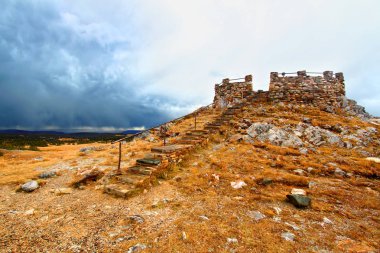 Tıp yay Ulusal Ormanı Wyoming