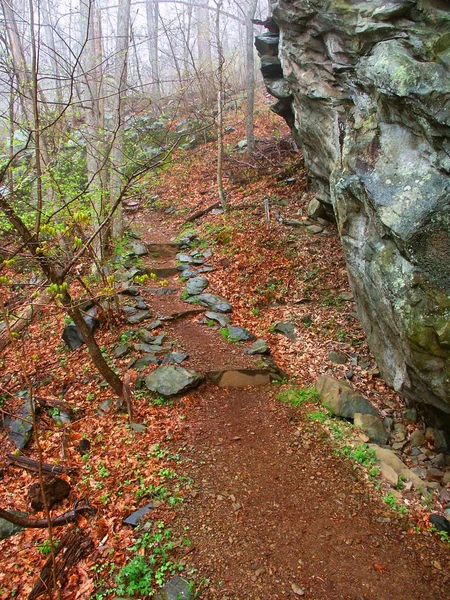 Whiteoak Canyon Trail Virginia — Stockfoto