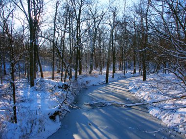 Allerton Park kış manzarası