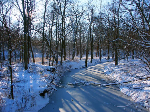 Allerton Park Paisaje de invierno —  Fotos de Stock