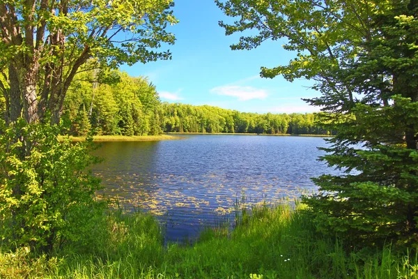 Mabel Northwoods lago Wisconsin —  Fotos de Stock