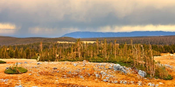Wyoming National Forest regenwolken — Stockfoto