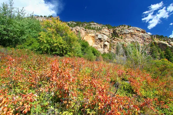 Rocky Mountain National Park peyzaj — Stok fotoğraf