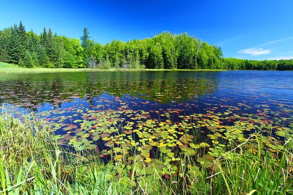 Mabel Lake Northwoods Wisconsin — Stock fotografie