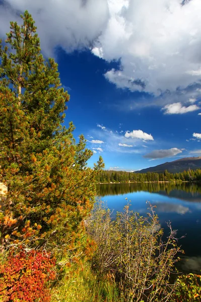 Bear Lake Colorado Rockies — Stock fotografie