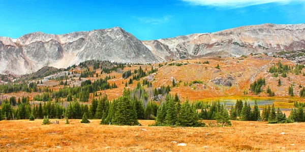 Montañas nevadas Wyoming — Foto de Stock