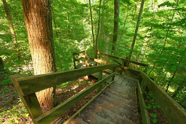 Schatten State Park Canyon Wandern — Stockfoto