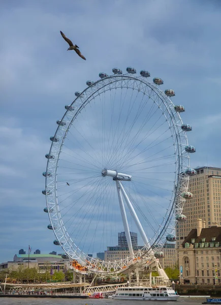 London Eye and bird — Stock Photo, Image