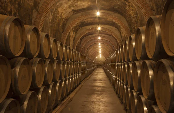 Bodega Protos en Ribera del Duero —  Fotos de Stock