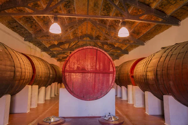 Wine cellar in Valladolid — Stock Photo, Image