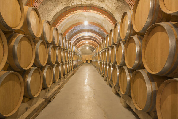 Barrels of wine