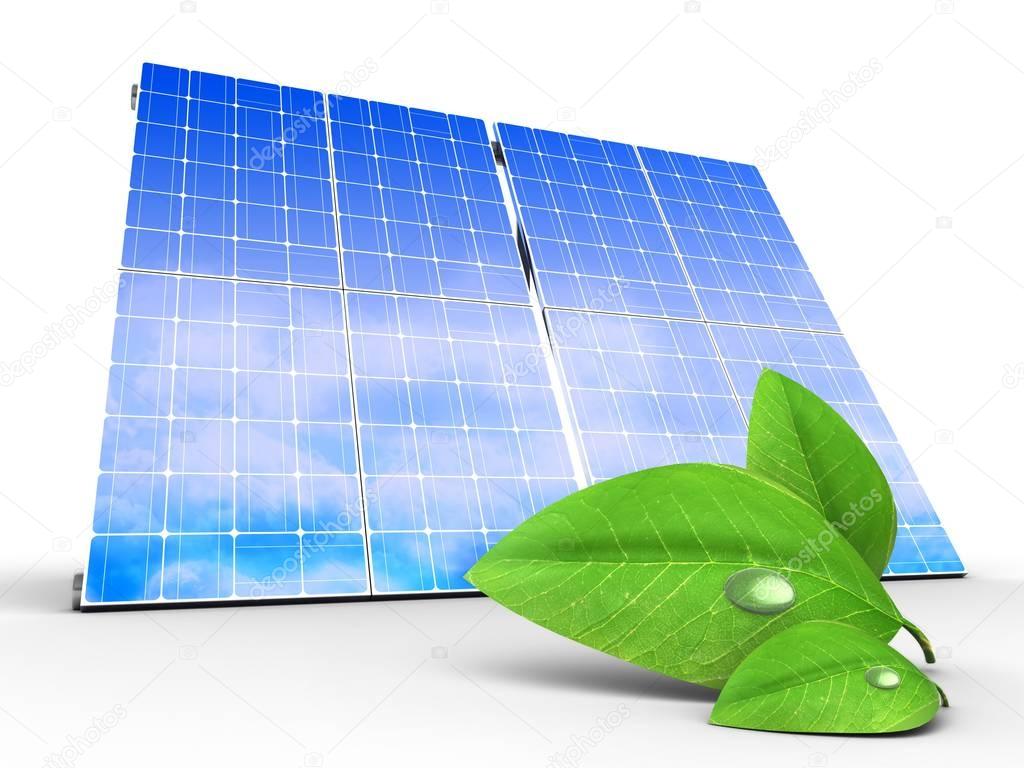 solar panel with green leaf