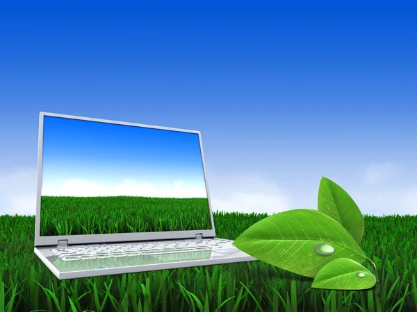 คอมพิวเตอร์เหนือพื้นหลังทุ่งหญ้า — ภาพถ่ายสต็อก