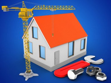 ev kırmızı çatı 