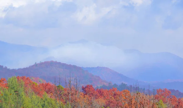 산에 산 불 — 스톡 사진