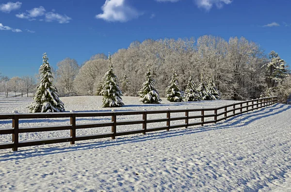 Pâturages en hiver Neige — Photo