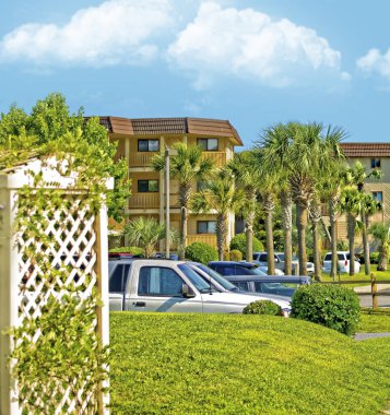 Condominuims ve palmiye ağaçları