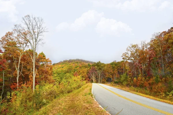 Route Montagne Avec Feuillage Automne Coloré — Photo