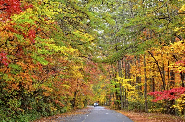 Fall Kleuren Langs Een Rode Binnen Een Staatspark — Stockfoto