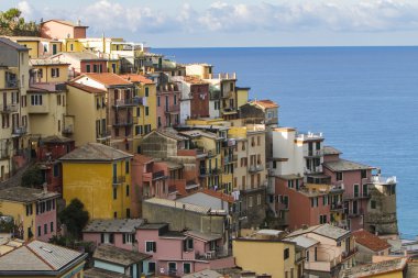 Manarola renkli evleri