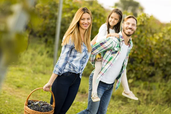Happy family in vineyard — Stock Photo, Image