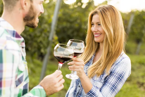Ochutnávka vín ve vinici — Stock fotografie